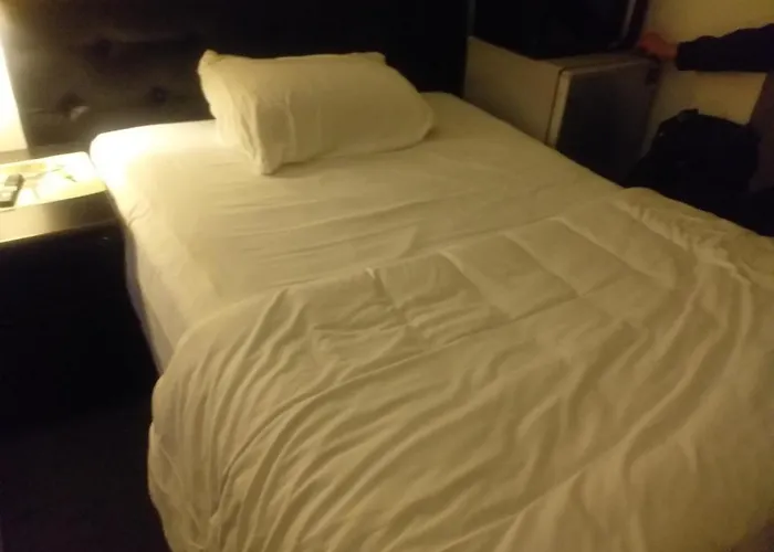 Colocation Alloggio in famiglia *